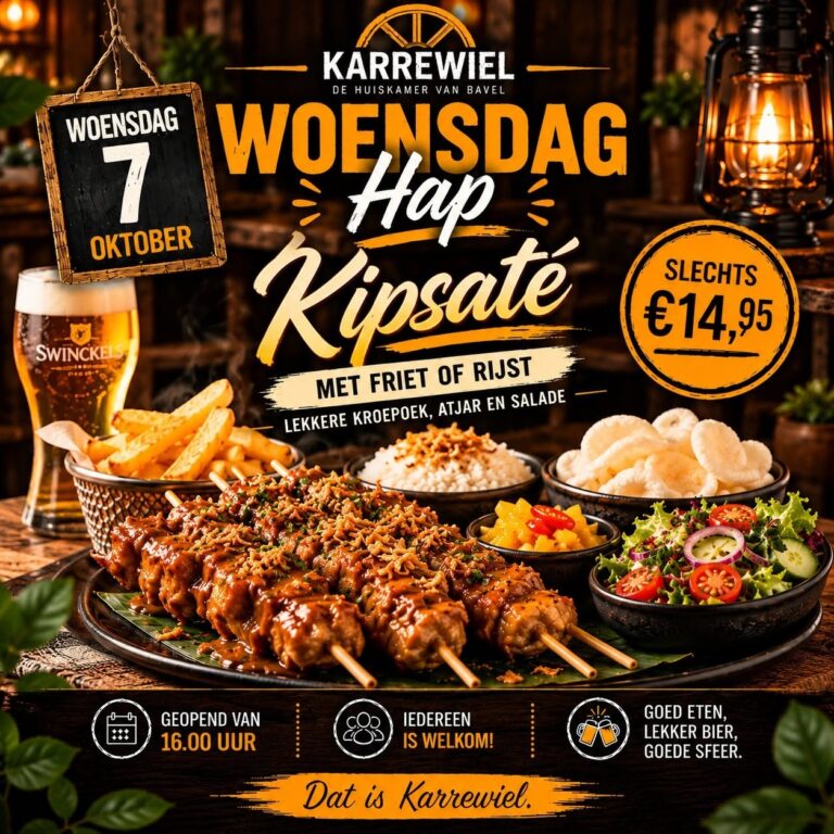 Kipsaté met friet of rijst